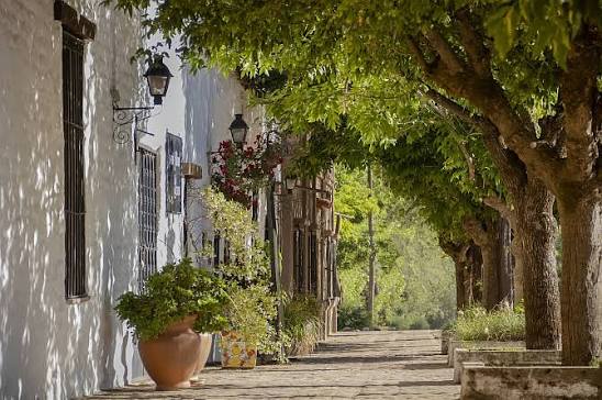 Córdoba 5