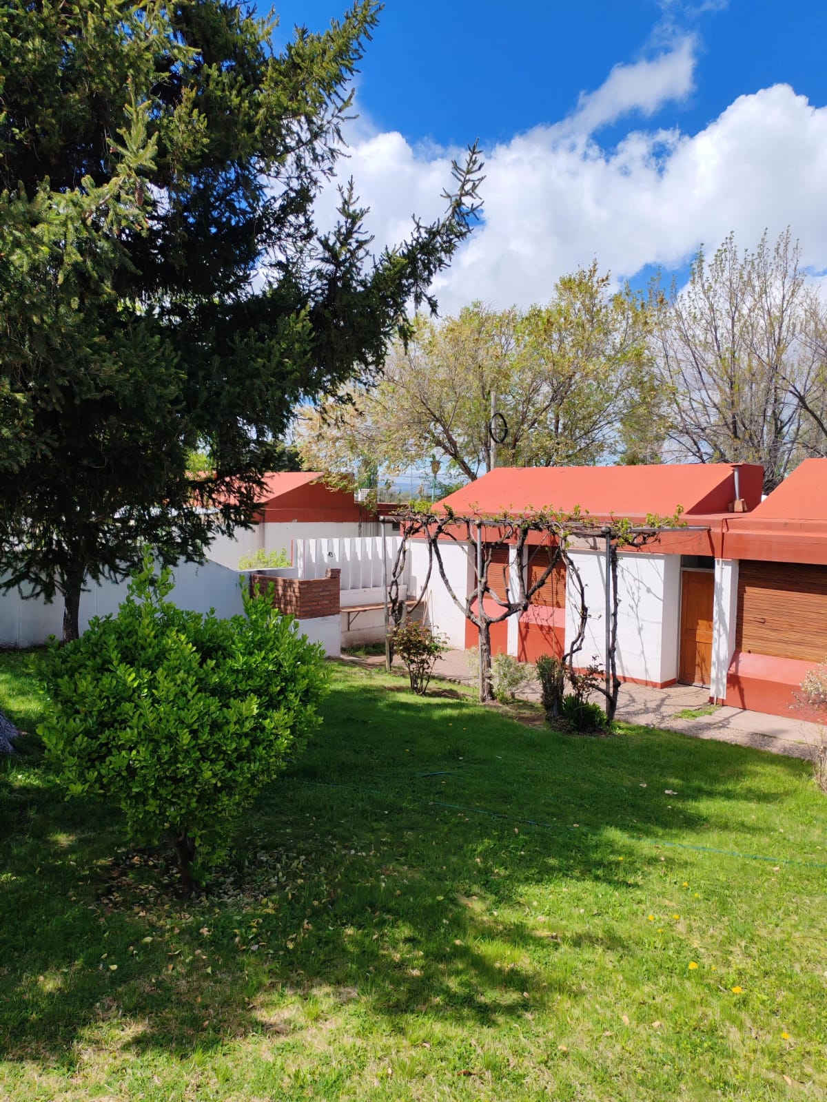 El Chocón 16