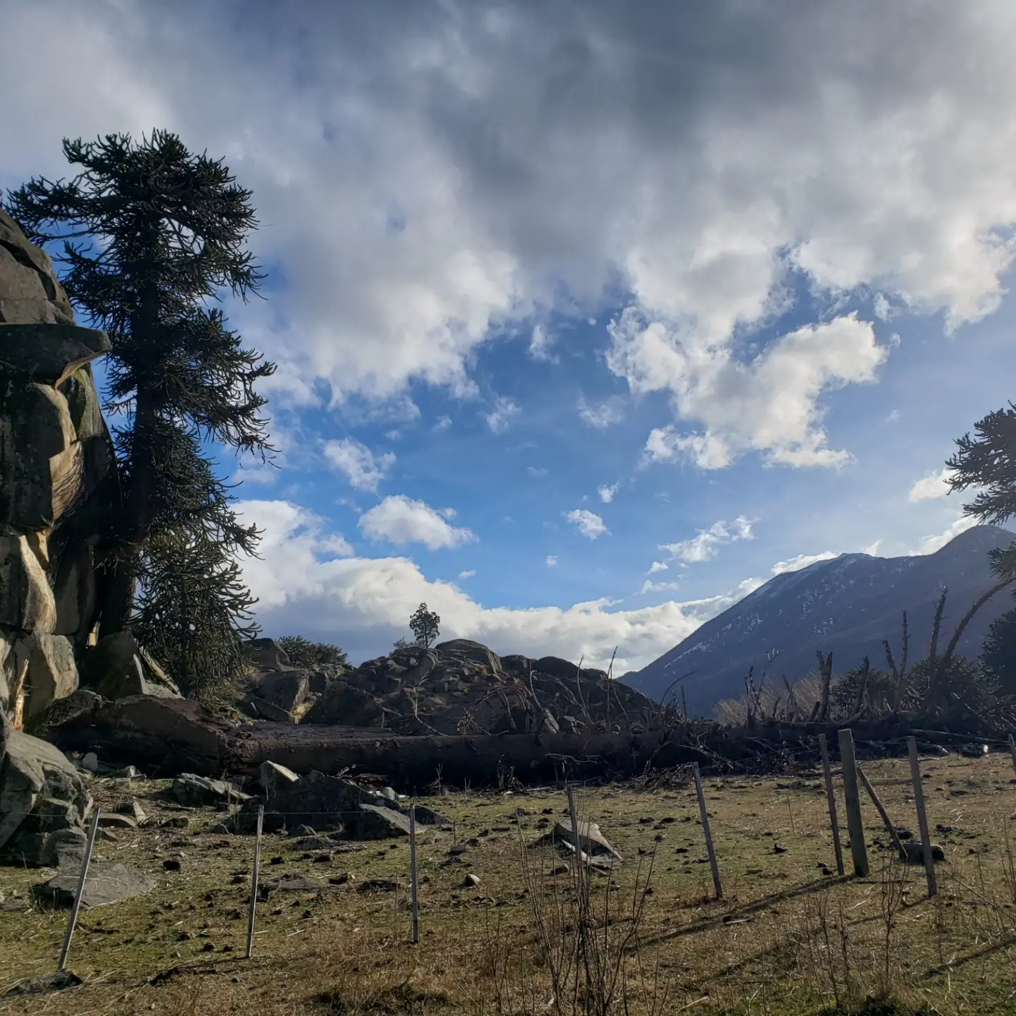 montañanegra3